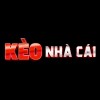 Avatar_zATbNoYVeIfZhPa