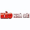 Avatar_J2GARe6hx5GDCAD