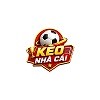 Avatar_D5KH4Puo9pd38FT