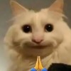 Avatar_Urja3T4Aw3c3wDP