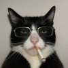 Avatar_Dx1bze5v6a3XNpr