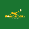 Avatar_M5XnhgPXiD7ic7p