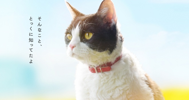 Tabi neko ripoto - Les Mémoires d'un chat-Roman écrit par Hiro