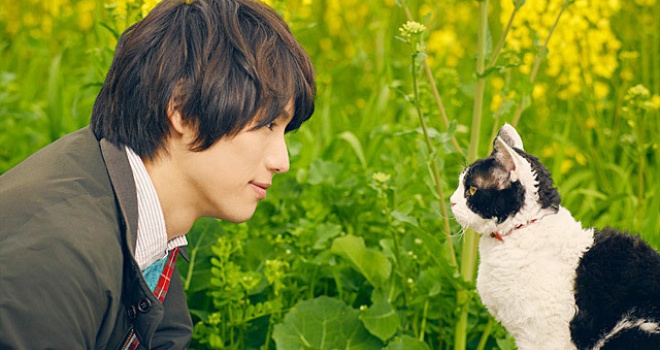 Une bande-annonce pour le film Les Mémoires d'un chat - Icotaku